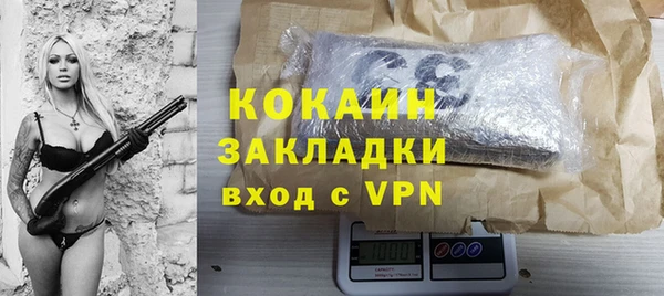 гашик Арсеньев