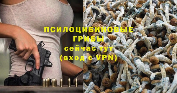 а пвп мука Балахна
