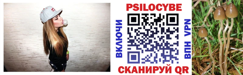 Псилоцибиновые грибы Magic Shrooms  Новодвинск 