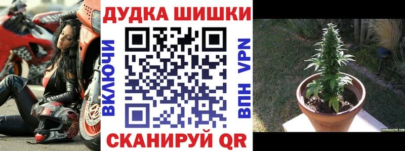 Бошки Шишки VHQ  Новодвинск 